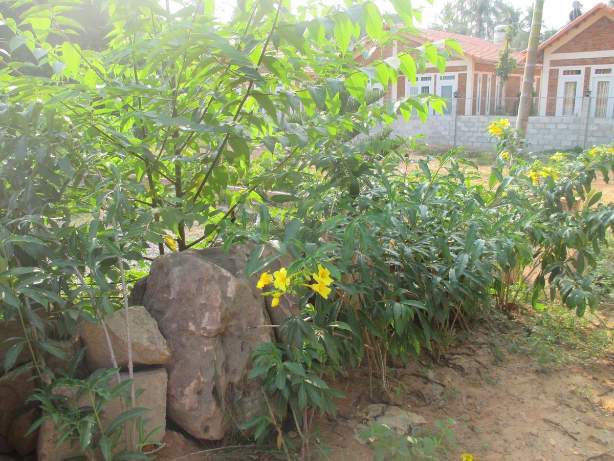 Bamboo Garden Resort Фу Куок Екстериор снимка